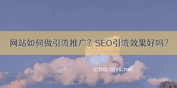 网站如何做引流推广？SEO引流效果好吗？