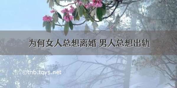 为何女人总想离婚 男人总想出轨