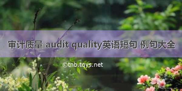 审计质量 audit quality英语短句 例句大全