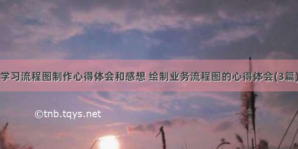 学习流程图制作心得体会和感想 绘制业务流程图的心得体会(3篇)