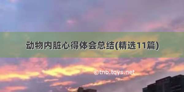 动物内脏心得体会总结(精选11篇)