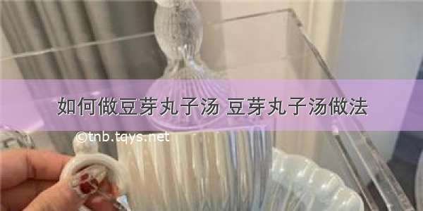 如何做豆芽丸子汤 豆芽丸子汤做法