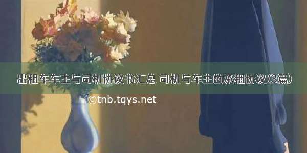 出租车车主与司机协议书汇总 司机与车主的承租协议(3篇)