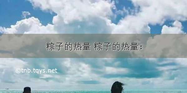 粽子的热量 粽子的热量：