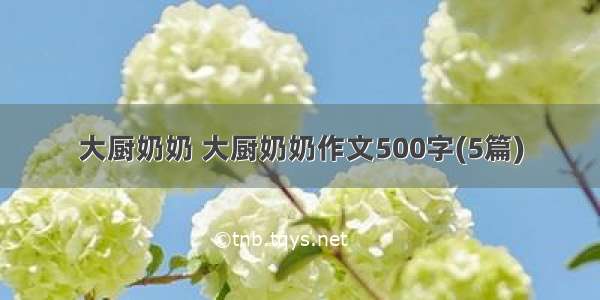 大厨奶奶 大厨奶奶作文500字(5篇)