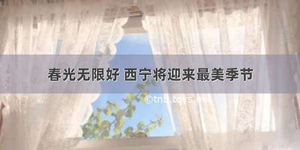 春光无限好 西宁将迎来最美季节