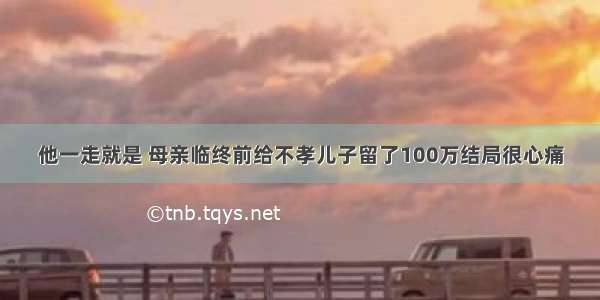 他一走就是 母亲临终前给不孝儿子留了100万结局很心痛