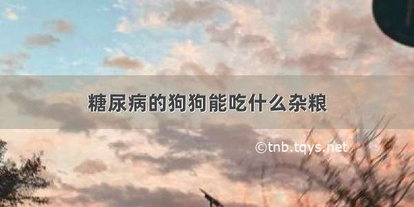 糖尿病的狗狗能吃什么杂粮