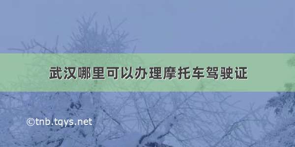 武汉哪里可以办理摩托车驾驶证