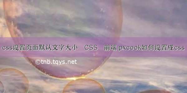 css设置页面默认文字大小 – CSS – 前端 pxcook如何设置成css