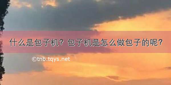 什么是包子机？包子机是怎么做包子的呢？