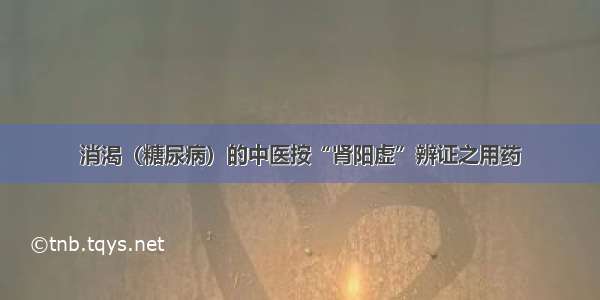 消渴（糖尿病）的中医按“肾阳虚”辨证之用药