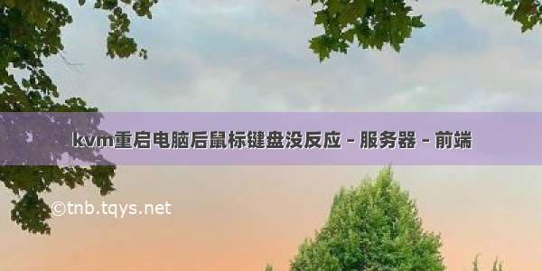 kvm重启电脑后鼠标键盘没反应 – 服务器 – 前端