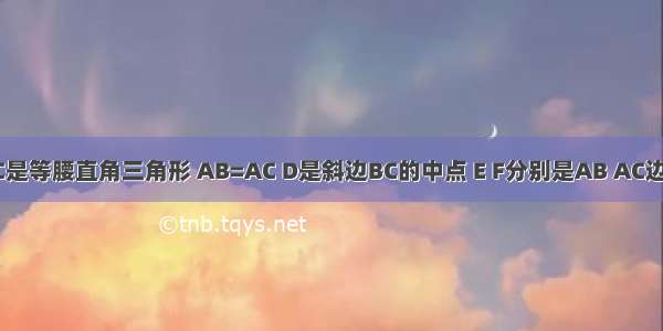 如图 △ABC是等腰直角三角形 AB=AC D是斜边BC的中点 E F分别是AB AC边上得点 且D