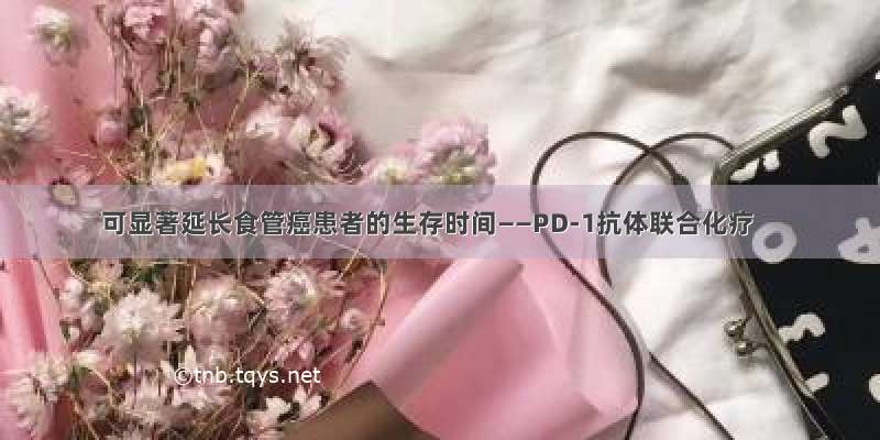 可显著延长食管癌患者的生存时间——PD-1抗体联合化疗