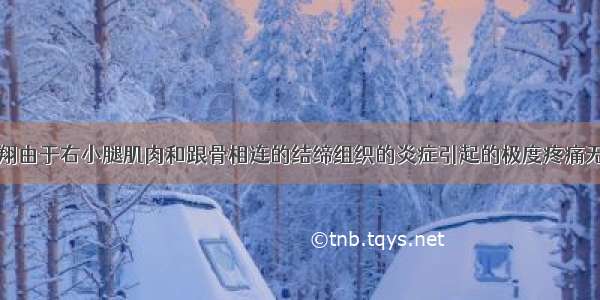 奥运会刘翔由于右小腿肌肉和跟骨相连的结缔组织的炎症引起的极度疼痛无耐退出了