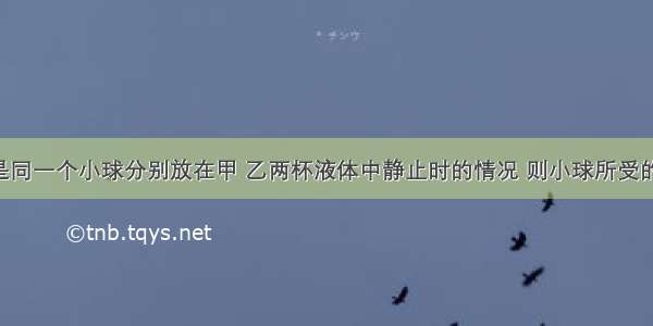 如图所示是同一个小球分别放在甲 乙两杯液体中静止时的情况 则小球所受的浮力F甲 F