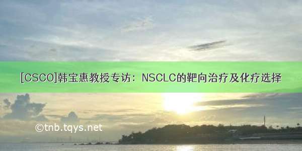 [CSCO]韩宝惠教授专访：NSCLC的靶向治疗及化疗选择