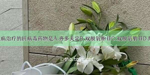 不能用于艾滋病治疗的抗病毒药物是A.齐多夫定B.双脱氧胞苷C.双脱氧肌苷D.阿糖胞苷E.拉