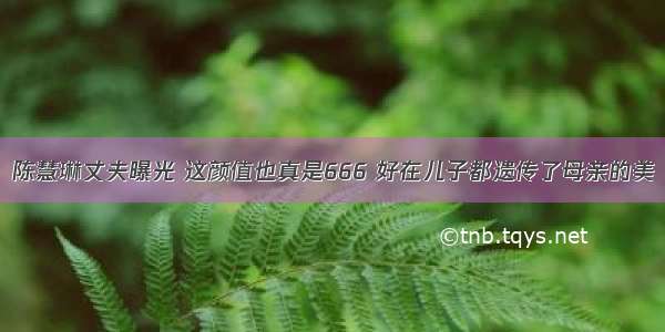 陈慧琳丈夫曝光 这颜值也真是666 好在儿子都遗传了母亲的美