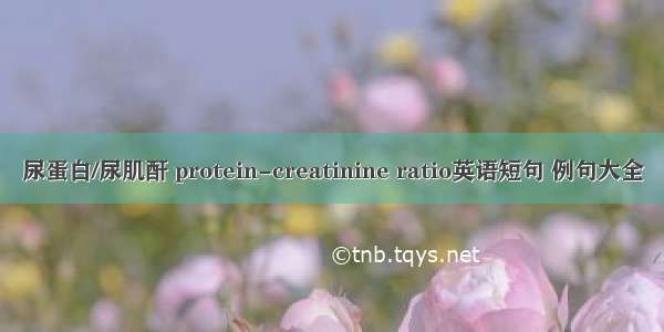 尿蛋白/尿肌酐 protein-creatinine ratio英语短句 例句大全