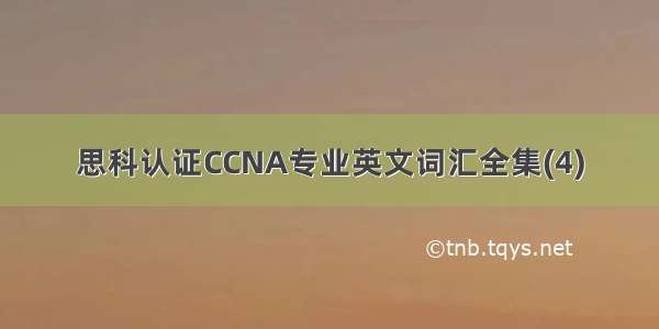 思科认证CCNA专业英文词汇全集(4)