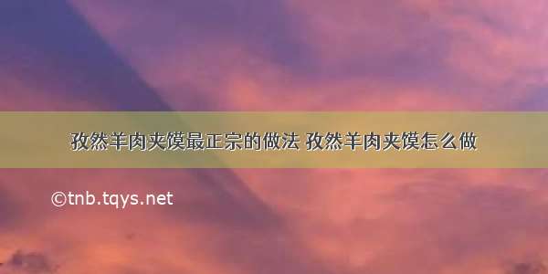 孜然羊肉夹馍最正宗的做法 孜然羊肉夹馍怎么做