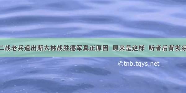 二战老兵道出斯大林战胜德军真正原因  原来是这样  听者后背发凉!