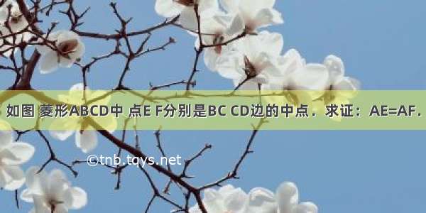 如图 菱形ABCD中 点E F分别是BC CD边的中点．求证：AE=AF．