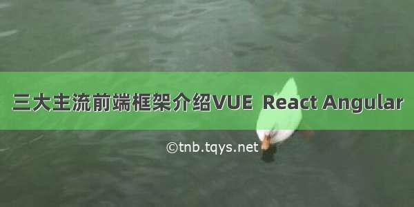 三大主流前端框架介绍VUE  React Angular