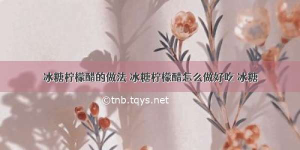 冰糖柠檬醋的做法 冰糖柠檬醋怎么做好吃 冰糖