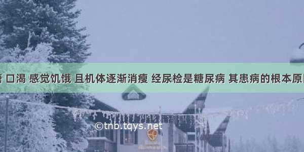 某人尿糖 口渴 感觉饥饿 且机体逐渐消瘦 经尿检是糖尿病 其患病的根本原因是A.吃