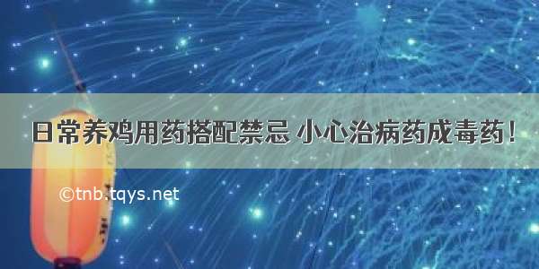 日常养鸡用药搭配禁忌 小心治病药成毒药！