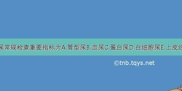 尿路感染尿常规检查重要指标为A.管型尿B.血尿C.蛋白尿D.白细胞尿E.上皮细胞ABCDE