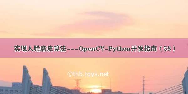 实现人脸磨皮算法---OpenCV-Python开发指南（58）