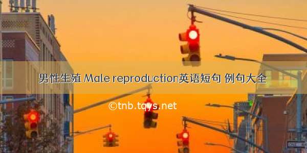 男性生殖 Male reproduction英语短句 例句大全