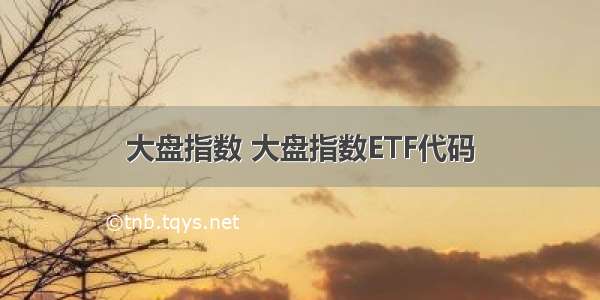 大盘指数 大盘指数ETF代码