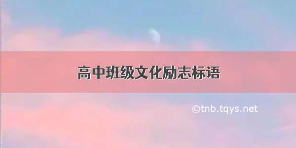 高中班级文化励志标语