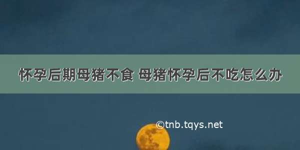 怀孕后期母猪不食 母猪怀孕后不吃怎么办