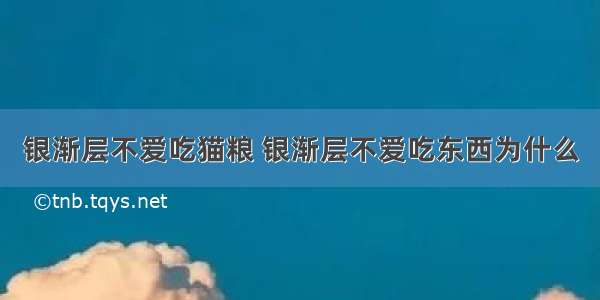 银渐层不爱吃猫粮 银渐层不爱吃东西为什么