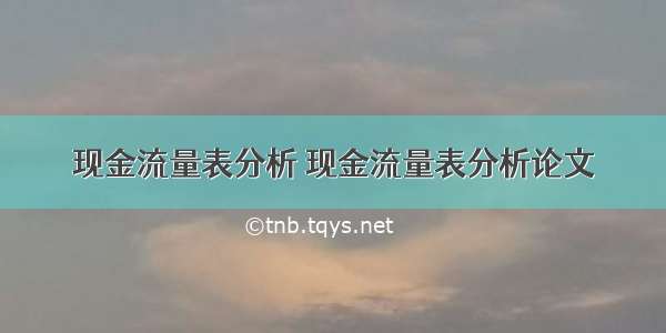 现金流量表分析 现金流量表分析论文