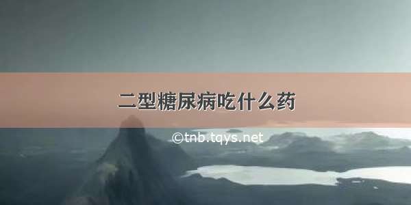 二型糖尿病吃什么药