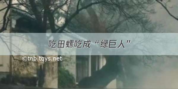 吃田螺吃成“绿巨人”