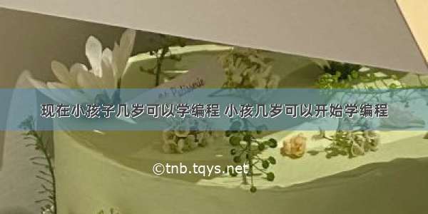 现在小孩子几岁可以学编程 小孩几岁可以开始学编程