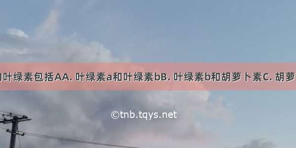 叶绿体中的叶绿素包括AA. 叶绿素a和叶绿素bB. 叶绿素b和胡萝卜素C. 胡萝卜素和叶黄