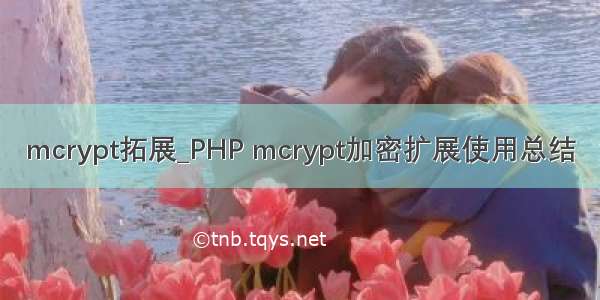 mcrypt拓展_PHP mcrypt加密扩展使用总结