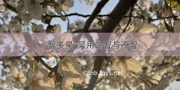 “智多星”吴用的智与不智