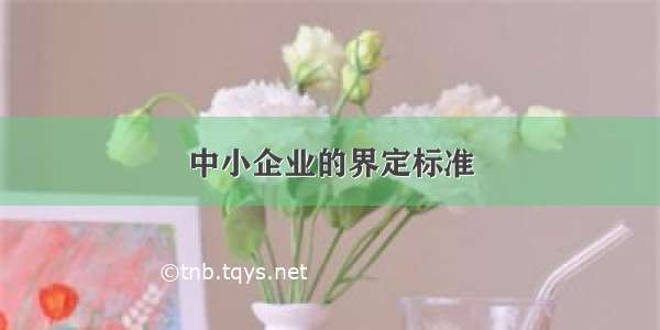 中小企业的界定标准