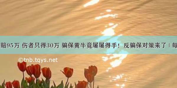 保险赔95万 伤者只得30万 骗保黄牛竟屡屡得手！反骗保对策来了 | 每经网