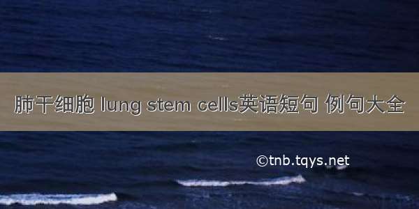 肺干细胞 lung stem cells英语短句 例句大全